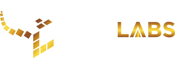Vitti Long Haul Logo
