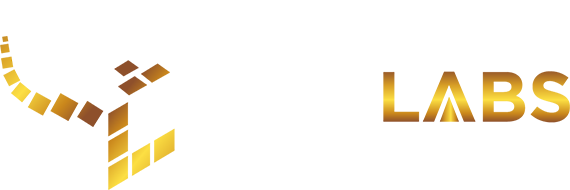 Vitti Long Haul Logo